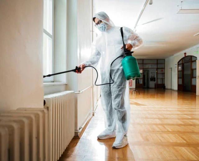 Dératisation par Sanitéo à Suresnes (92)